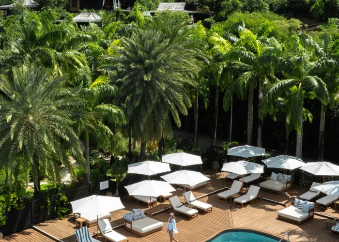 Antigua Hermitage Bay pool with palms Antigua Hermitage Bay pool with palms