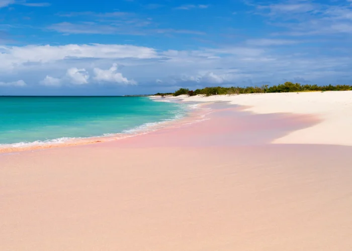 Antigua pink beach Antigua pink beach