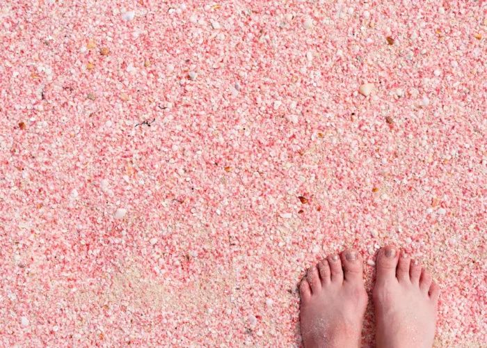 Antigua pink beach with toes Antigua pink beach with toes