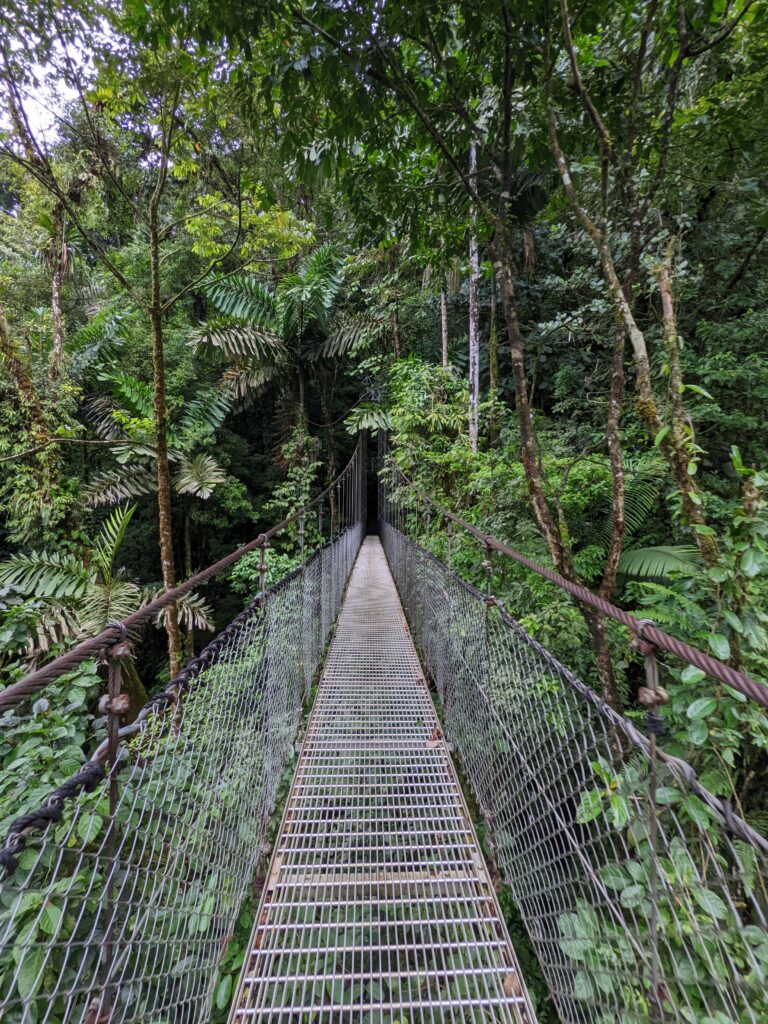 Mistico Arenal hanging bridges national park. La Fortuna Costa Rica. Lush green jungle and stunning views from the tree canopy.