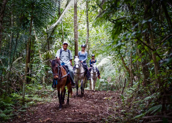 Belize horseback Belize horseback