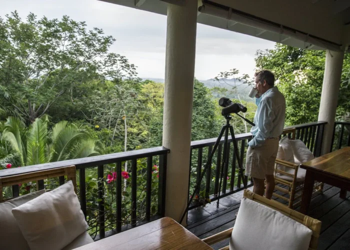 Copal Tree Belize birdwatching Copal Tree Belize birdwatching