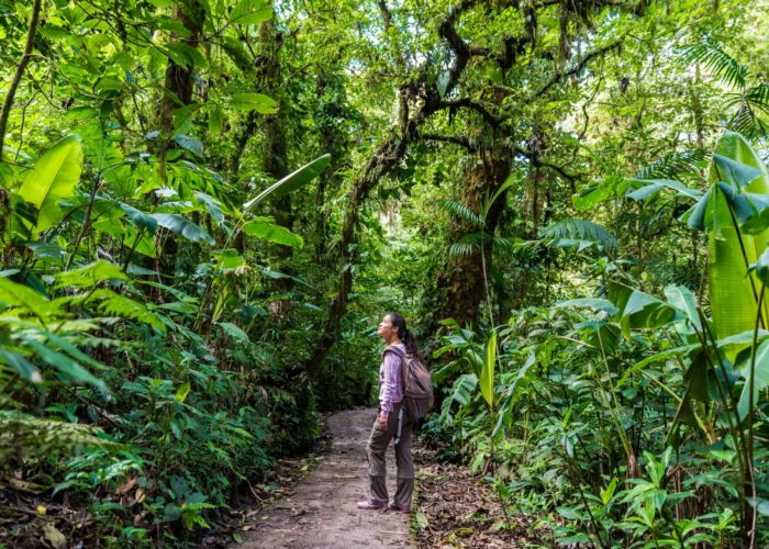 Costa Rica Cahuita jungle hike Costa Rica Cahuita jungle hike