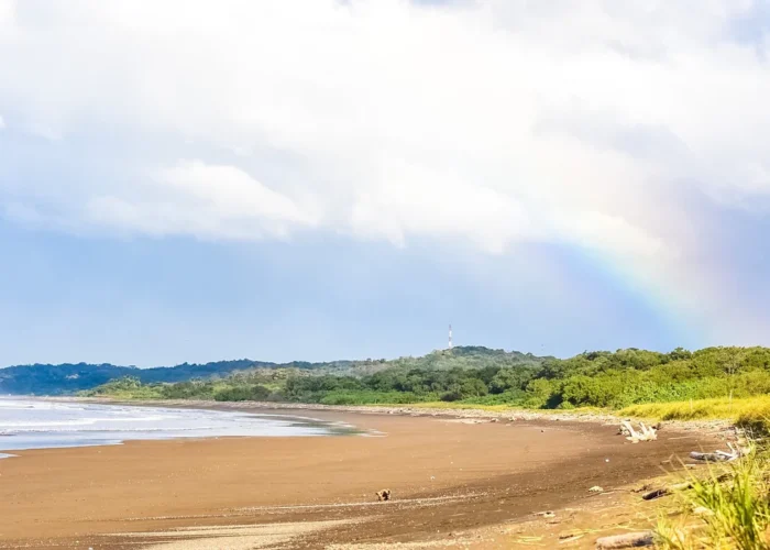 Costa Rica Nosara beach
