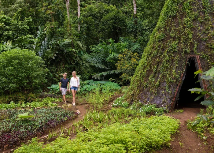 Costa Rica Origins Lodge garden walk Costa Rica Origins Lodge garden walk