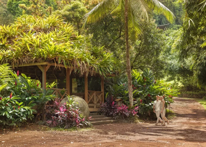 Costa Rica Origins Lodge lush environment Costa Rica Origins Lodge lush environment