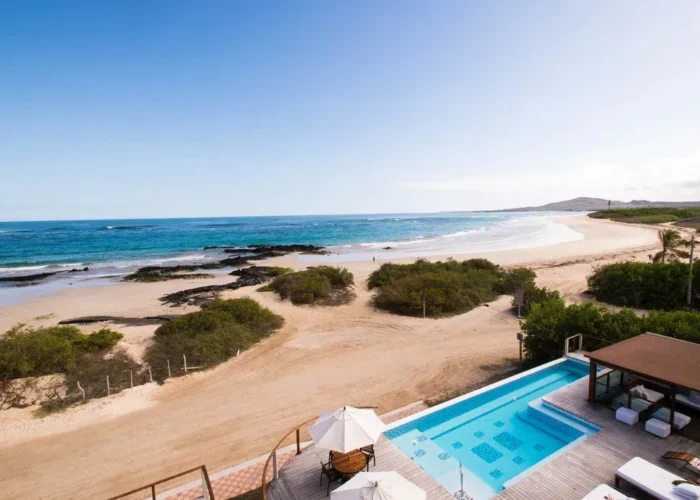 Galapagos Iguana Crossing beach