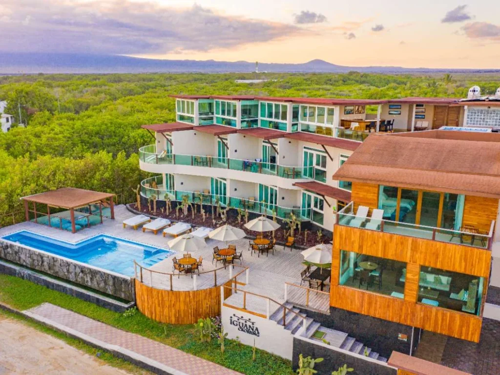Galapagos Iguana Crossing front