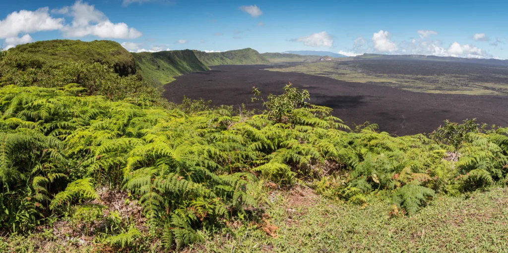 Galapagos Isabela volcanic