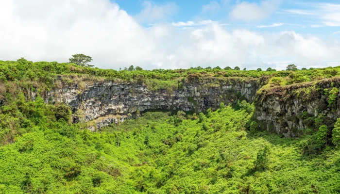 Galapagos cloud forest crater Santa Cruz Galapagos cloud forest crater Santa Cruz Ecuador