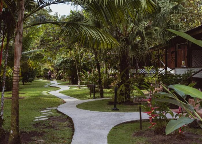 Mawamba Tortuguero trail Mawamba Tortuguero trail