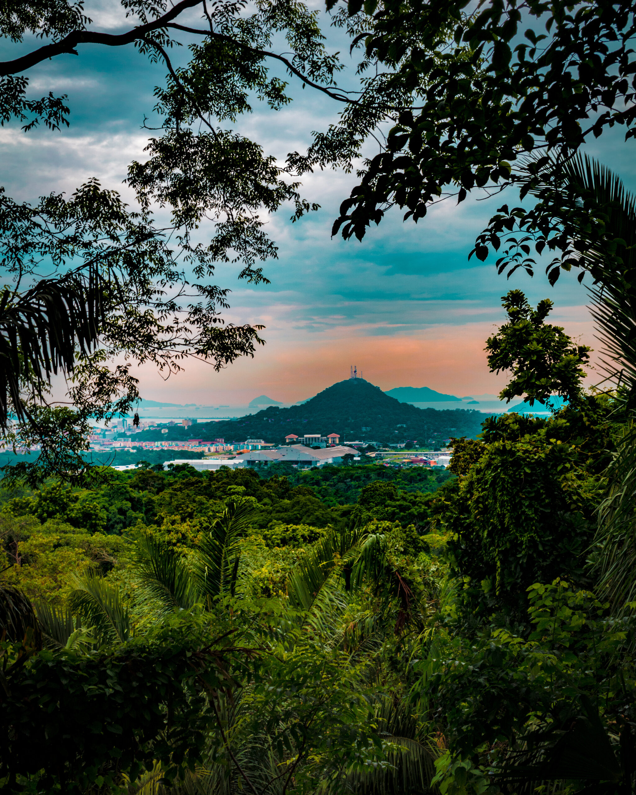 Tropical Panama jungle in Panama City