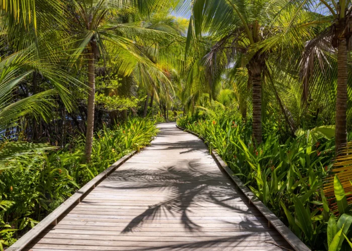 Panama Nayara Bocas walkway Panama Nayara Bocas walkway