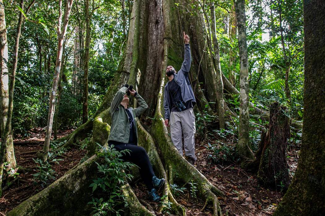 Senda Monteverde rainforest hike