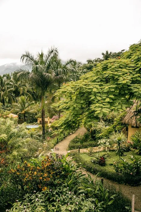Sleeping Giant Belize garden