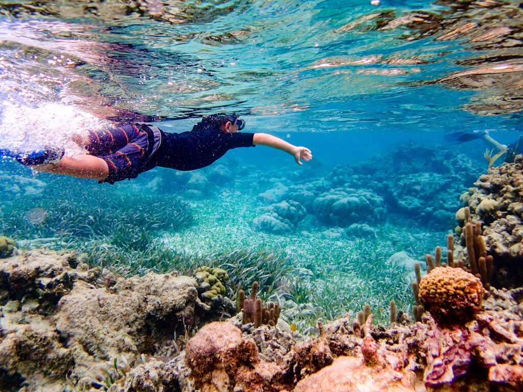 Underwater image of boy snorkeling through coral reef in Belize
