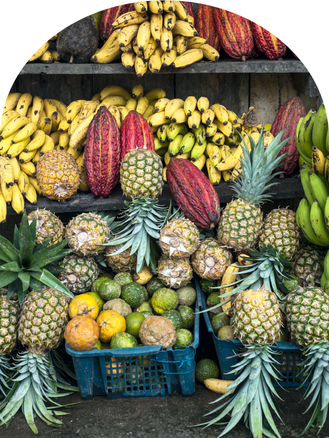 Arch fruit market design element