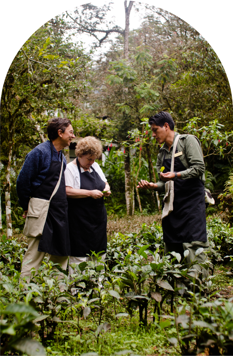 Responsible travel arch