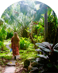 Nicaragua walking in jungle rainforest garden on Ometepe Island arch